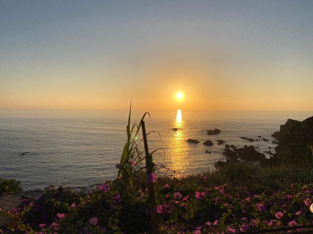 Casa Do Brejao Campo E Praia Odemira Eksteriør billede