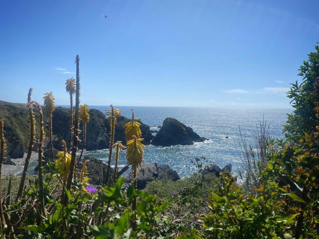 Casa Do Brejao Campo E Praia Odemira Eksteriør billede