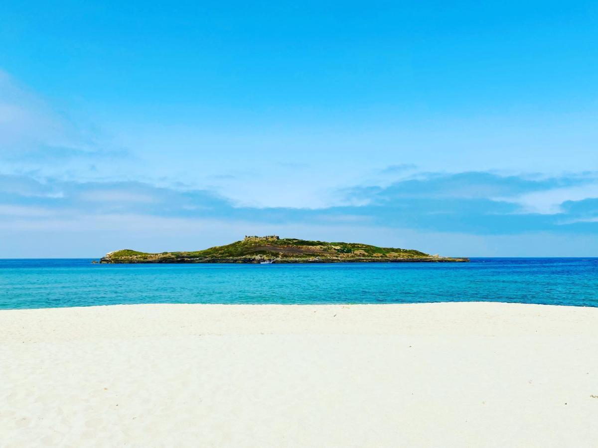 Casa Do Brejao Campo E Praia Odemira Eksteriør billede